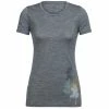 T-shirt Icebreaker Tech Through The Forest Heather Moins Cher